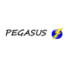 pegasus logo 100x100 1